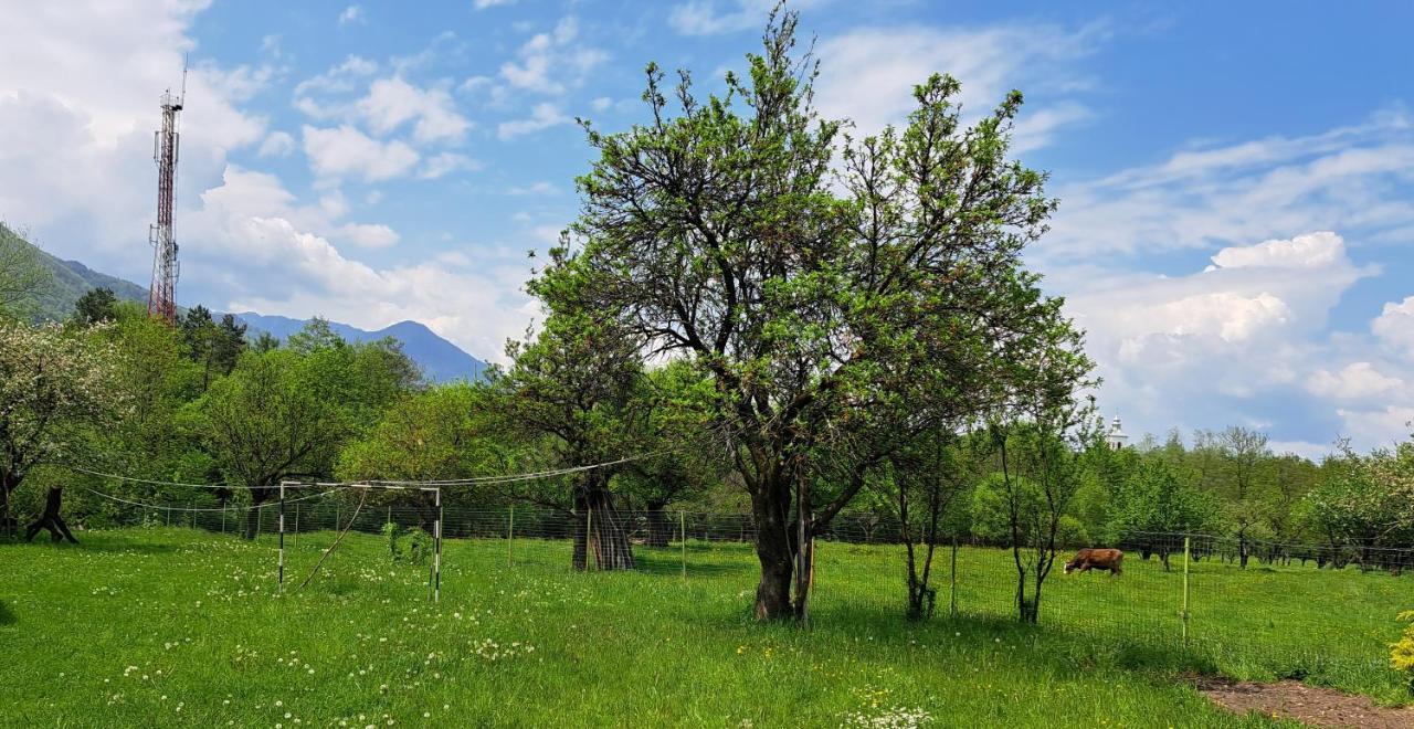 Villa Katharina Bran Бран Экстерьер фото